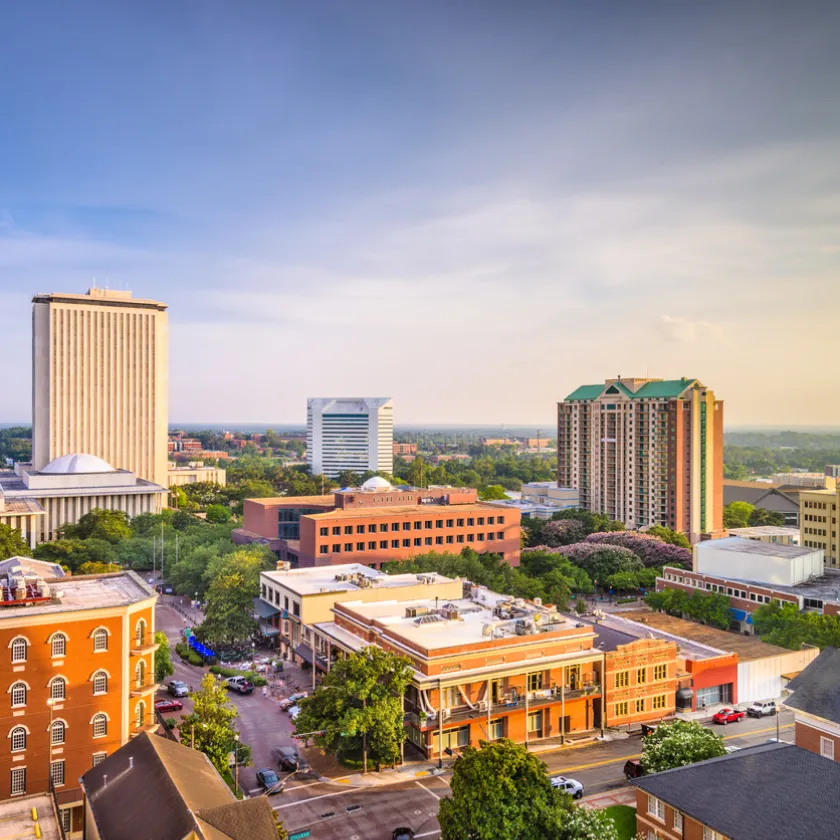 masthead tallahassee